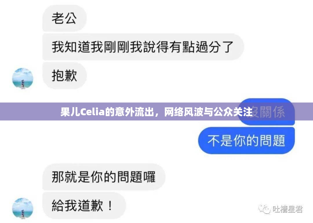 果兒Celia的意外流出，網(wǎng)絡(luò)風(fēng)波與公眾關(guān)注