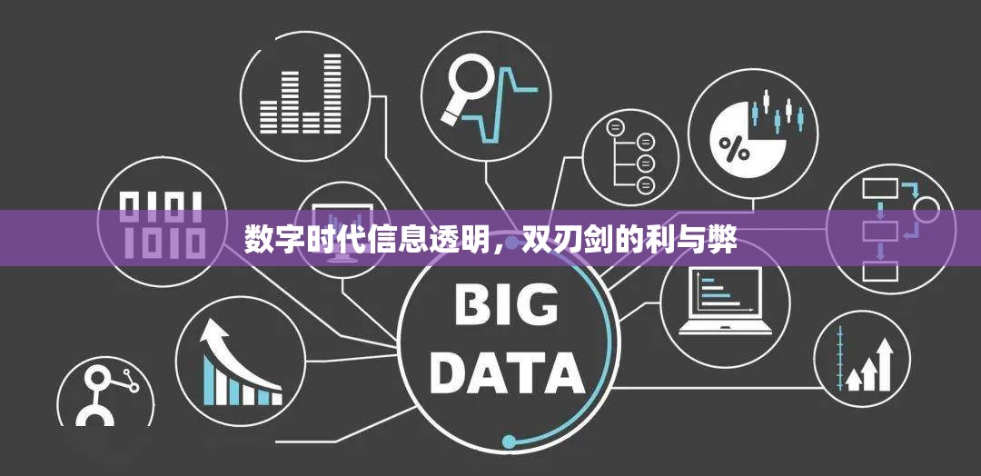 數(shù)字時(shí)代信息透明，雙刃劍的利與弊