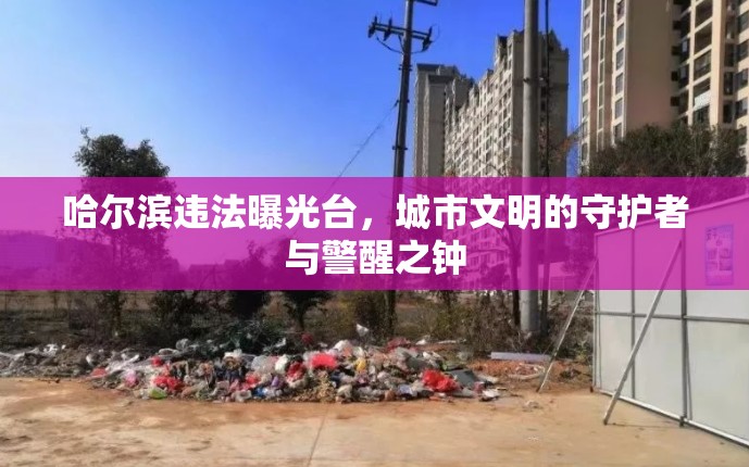 哈爾濱違法曝光臺(tái)，城市文明的守護(hù)者與警醒之鐘