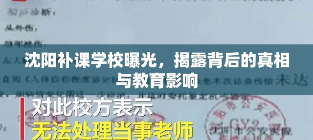 沈陽補課學校曝光，揭露背后的真相與教育影響