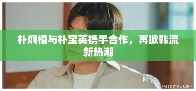 樸炯植與樸寶英攜手合作，再掀韓流新熱潮