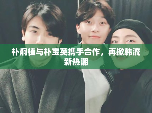 樸炯植與樸寶英攜手合作，再掀韓流新熱潮