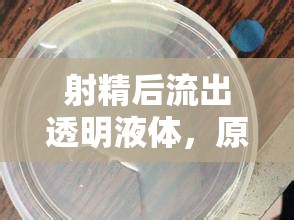 射精后流出透明液體，原因、影響及應(yīng)對措施
