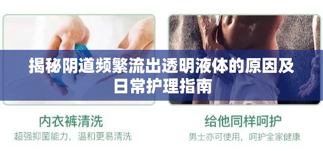 揭秘陰道頻繁流出透明液體的原因及日常護(hù)理指南