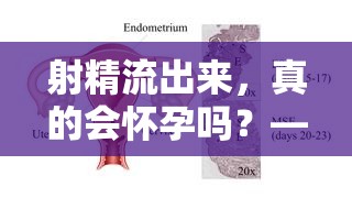 射精流出來，真的會懷孕嗎？——揭秘性行為與懷孕的真相