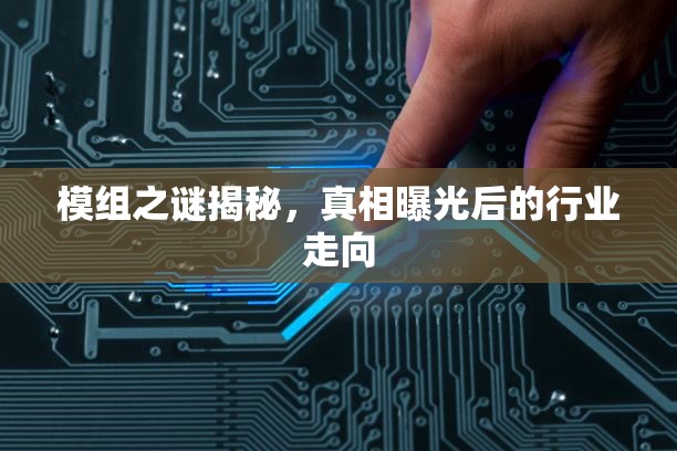 模組之謎揭秘，真相曝光后的行業(yè)走向