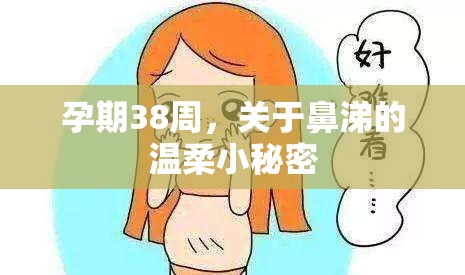 孕期38周，關(guān)于鼻涕的溫柔小秘密