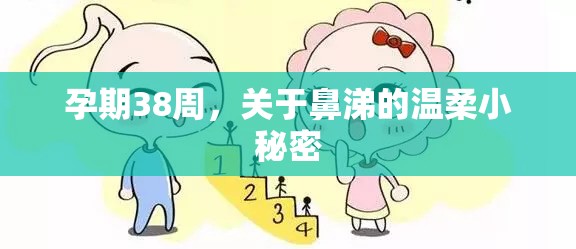 孕期38周，關(guān)于鼻涕的溫柔小秘密