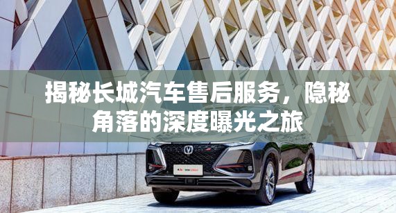 揭秘長城汽車售后服務(wù)，隱秘角落的深度曝光之旅