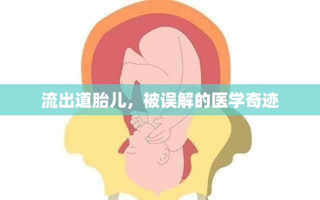 流出道胎兒，被誤解的醫(yī)學(xué)奇跡
