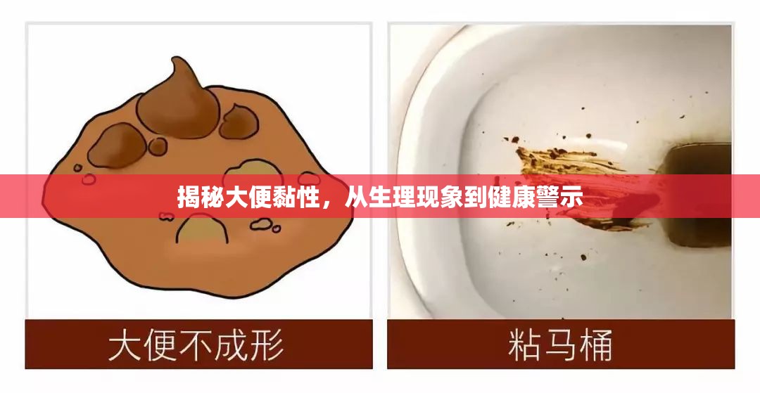 揭秘大便黏性，從生理現(xiàn)象到健康警示