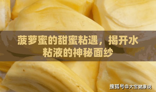 菠蘿蜜的甜蜜粘遇，揭開水粘液的神秘面紗