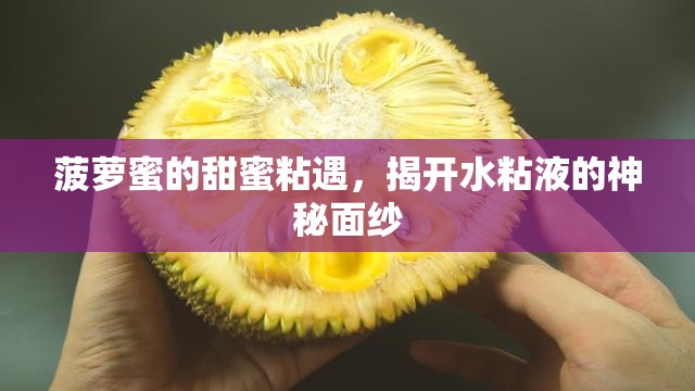 菠蘿蜜的甜蜜粘遇，揭開水粘液的神秘面紗
