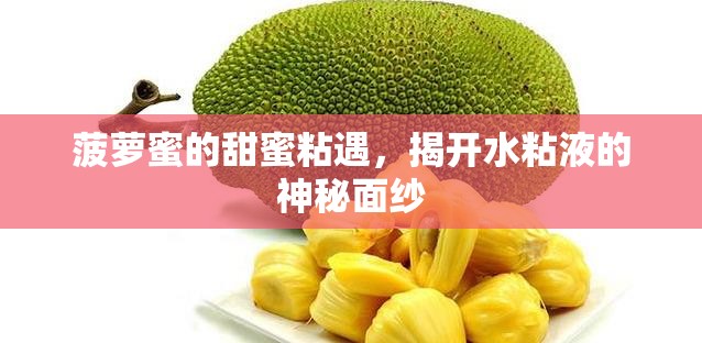 菠蘿蜜的甜蜜粘遇，揭開水粘液的神秘面紗