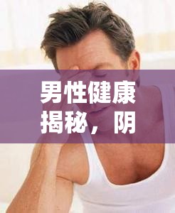 男性健康揭秘，陰莖流出無色粘液的真相與解讀