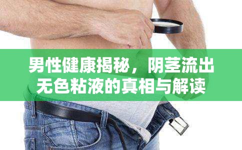 男性健康揭秘，陰莖流出無色粘液的真相與解讀