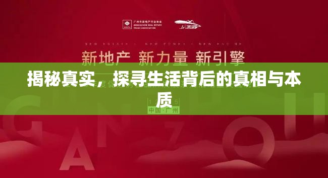 揭秘真實(shí)，探尋生活背后的真相與本質(zhì)