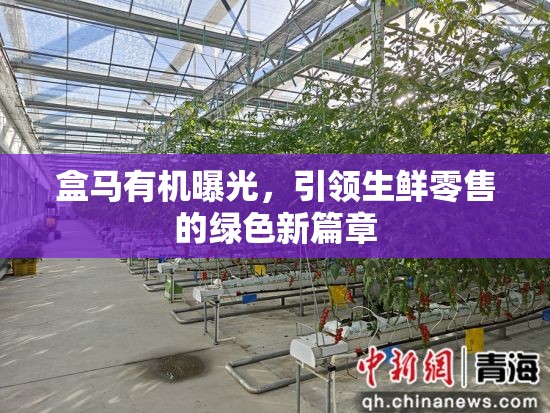 盒馬有機(jī)曝光，引領(lǐng)生鮮零售的綠色新篇章