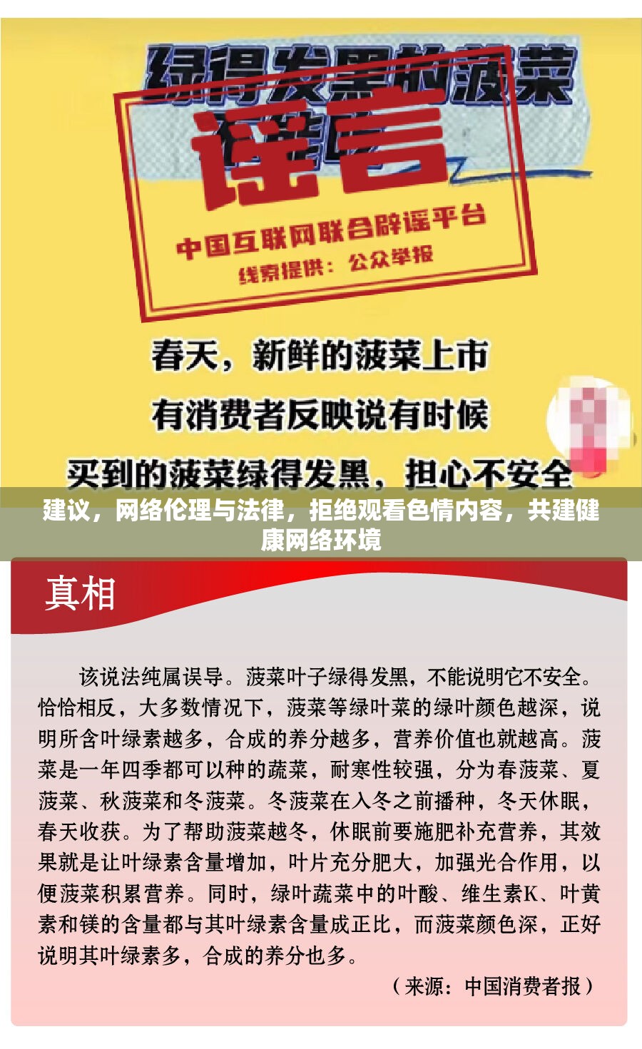 建議，網(wǎng)絡(luò)倫理與法律，拒絕觀看色情內(nèi)容，共建健康網(wǎng)絡(luò)環(huán)境