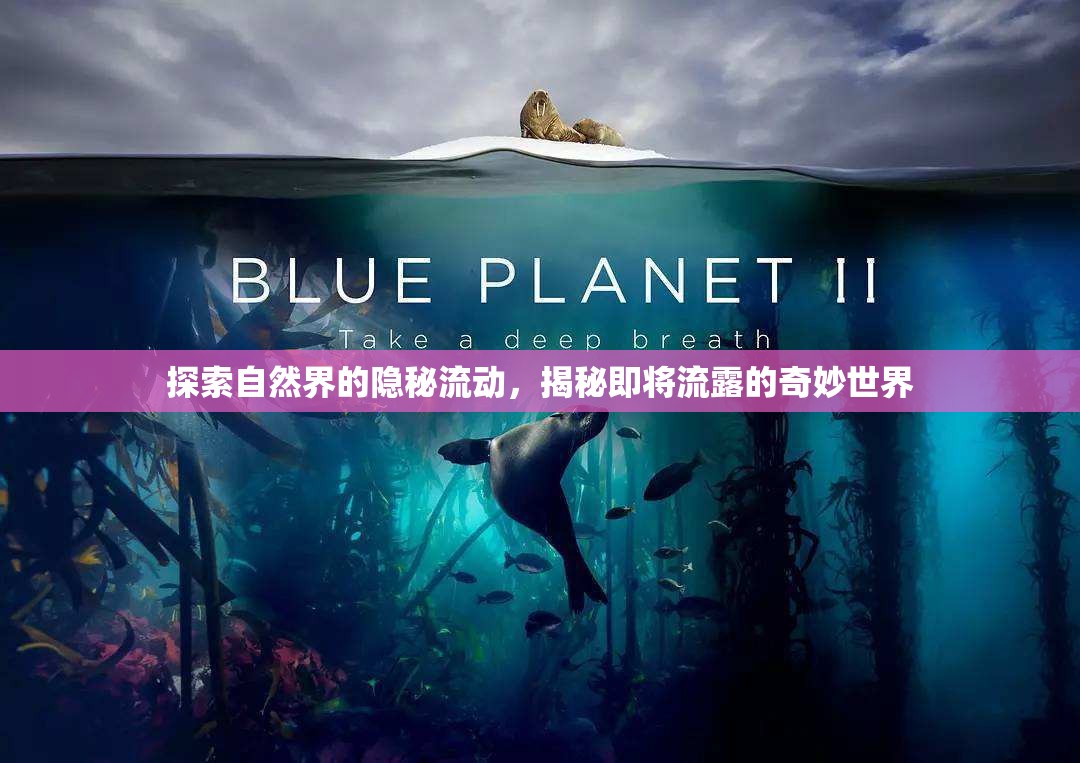 探索自然界的隱秘流動，揭秘即將流露的奇妙世界
