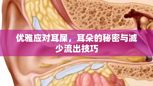 優(yōu)雅應對耳屎，耳朵的秘密與減少流出技巧