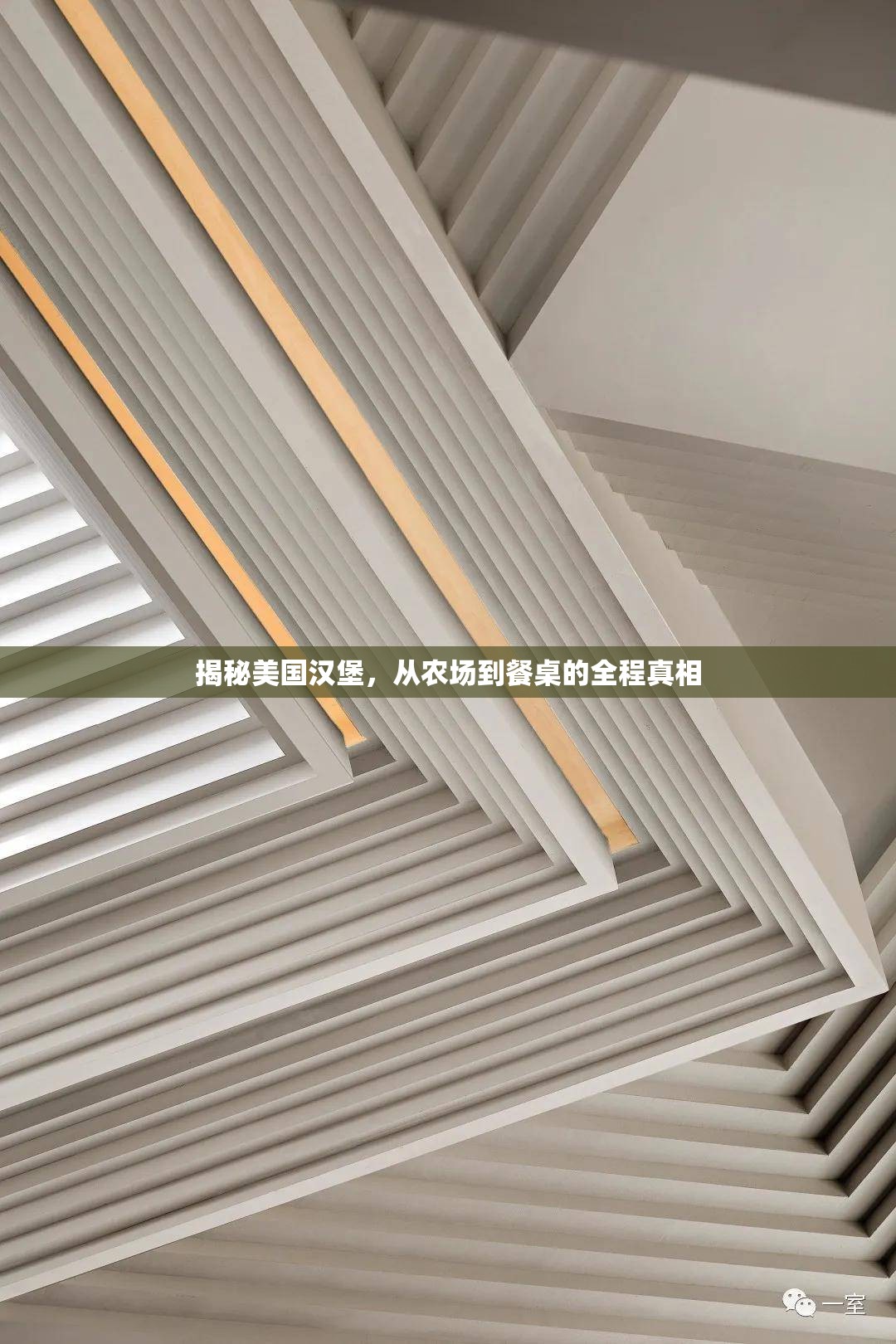 揭秘美國漢堡，從農(nóng)場(chǎng)到餐桌的全程真相