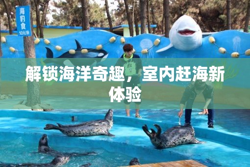 解鎖海洋奇趣，室內(nèi)趕海新體驗