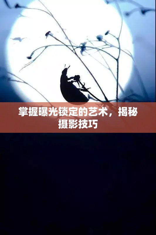掌握曝光鎖定的藝術(shù)，揭秘攝影技巧