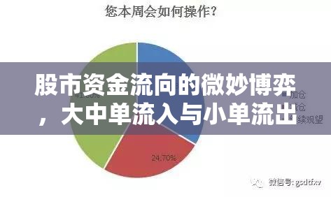 股市資金流向的微妙博弈，大中單流入與小單流出的市場啟示