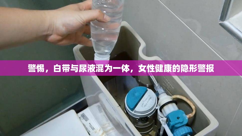 警惕，白帶與尿液混為一體，女性健康的隱形警報(bào)