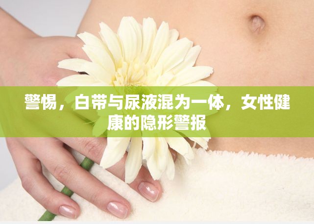 警惕，白帶與尿液混為一體，女性健康的隱形警報(bào)