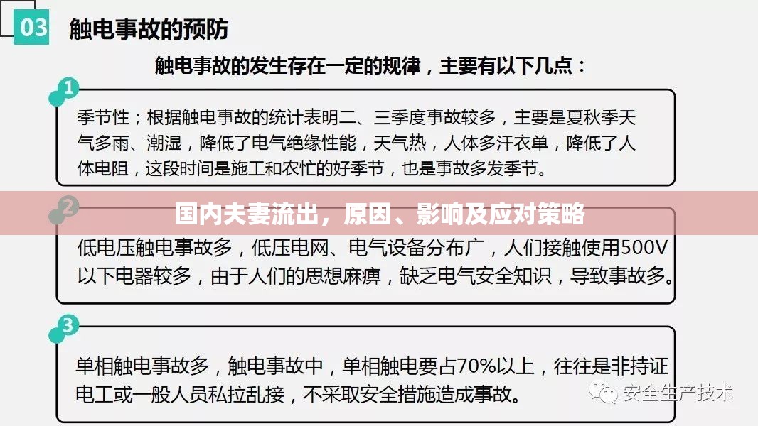 國內(nèi)夫妻流出，原因、影響及應對策略