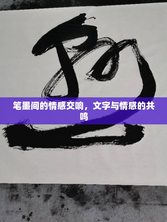 筆墨間的情感交響，文字與情感的共鳴