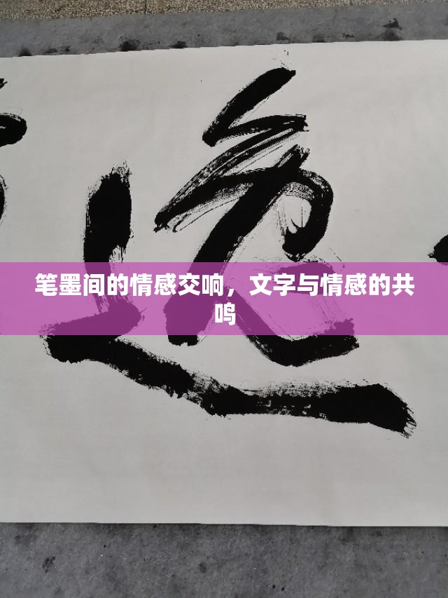 筆墨間的情感交響，文字與情感的共鳴