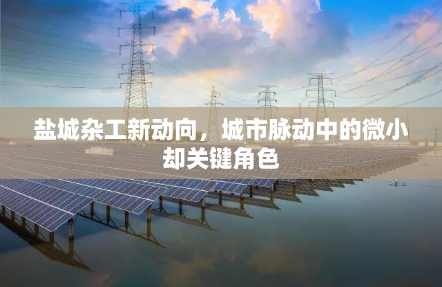 鹽城雜工新動(dòng)向，城市脈動(dòng)中的微小卻關(guān)鍵角色