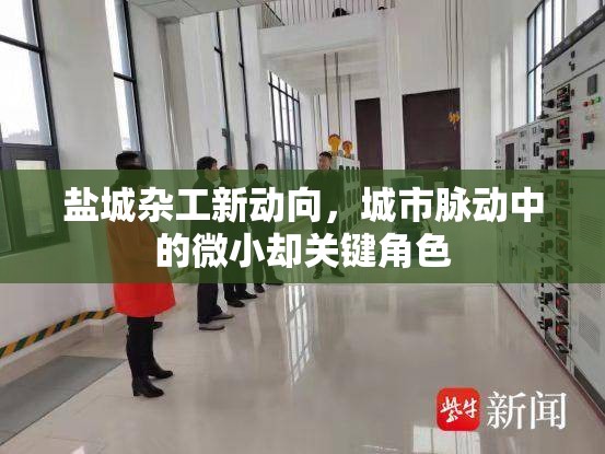 鹽城雜工新動(dòng)向，城市脈動(dòng)中的微小卻關(guān)鍵角色