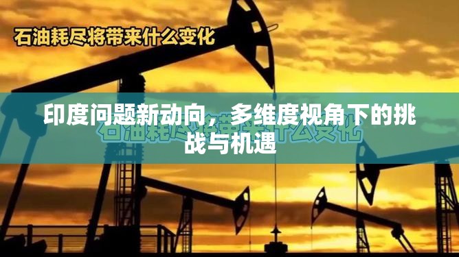 印度問(wèn)題新動(dòng)向，多維度視角下的挑戰(zhàn)與機(jī)遇