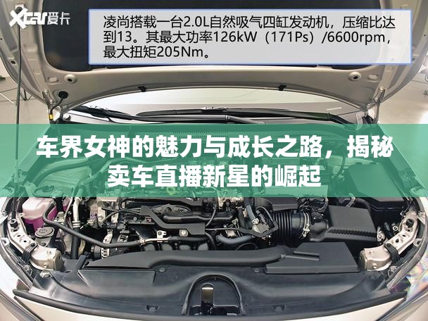 車界女神的魅力與成長之路，揭秘賣車直播新星的崛起
