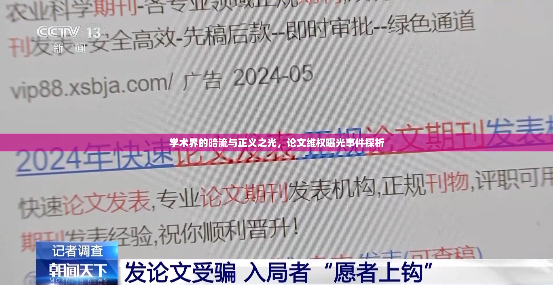 學(xué)術(shù)界的暗流與正義之光，論文維權(quán)曝光事件探析