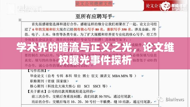 學(xué)術(shù)界的暗流與正義之光，論文維權(quán)曝光事件探析