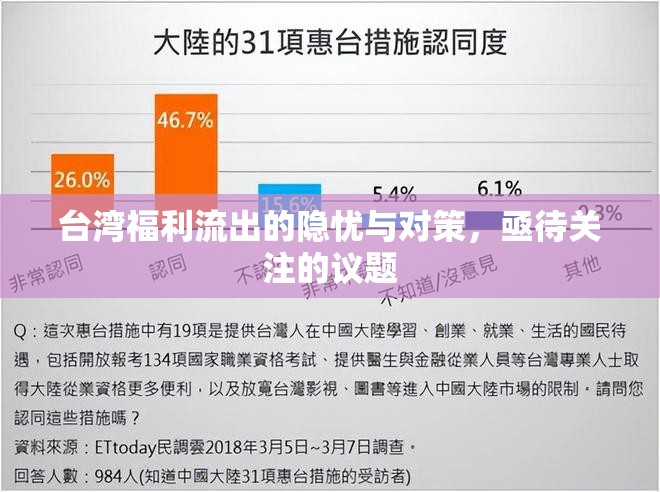 臺(tái)灣福利流出的隱憂與對(duì)策，亟待關(guān)注的議題