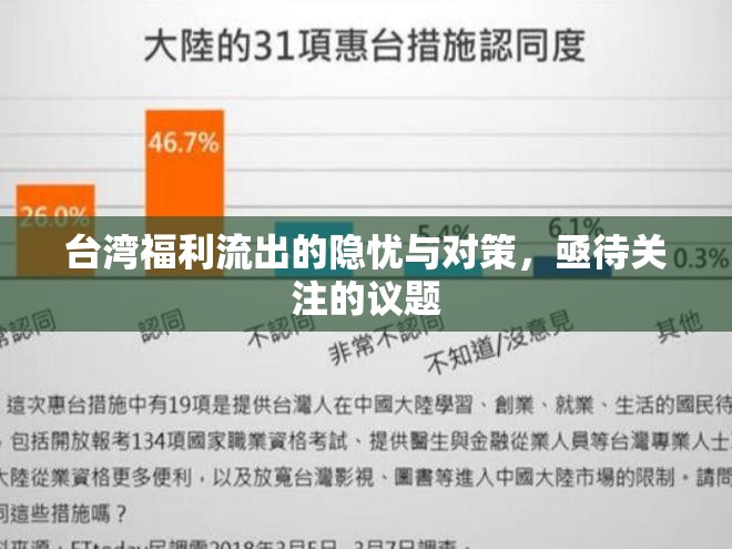 臺(tái)灣福利流出的隱憂與對(duì)策，亟待關(guān)注的議題