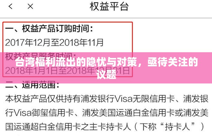 臺(tái)灣福利流出的隱憂與對(duì)策，亟待關(guān)注的議題