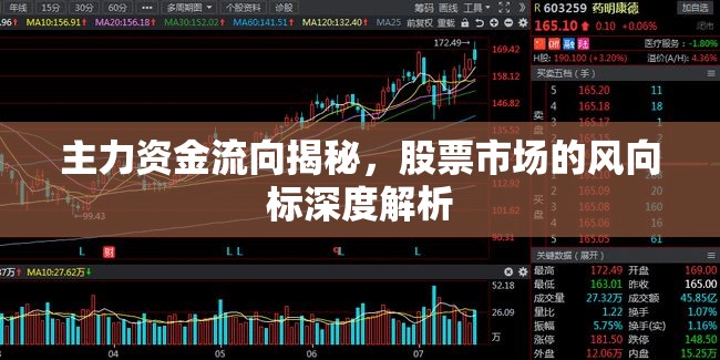 主力資金流向揭秘，股票市場的風(fēng)向標(biāo)深度解析