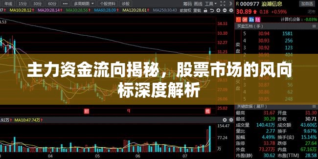 主力資金流向揭秘，股票市場的風(fēng)向標(biāo)深度解析