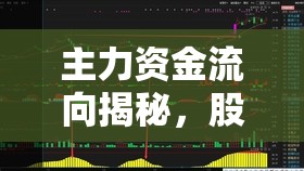 主力資金流向揭秘，股票市場的風(fēng)向標(biāo)深度解析