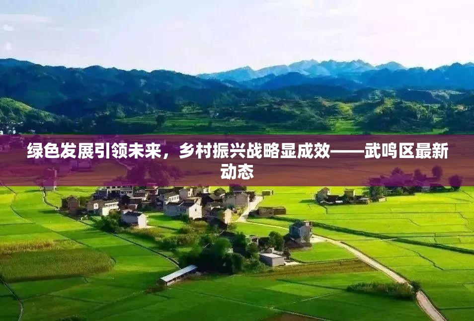 綠色發(fā)展引領(lǐng)未來(lái)，鄉(xiāng)村振興戰(zhàn)略顯成效——武鳴區(qū)最新動(dòng)態(tài)