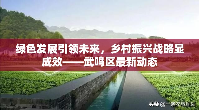綠色發(fā)展引領(lǐng)未來(lái)，鄉(xiāng)村振興戰(zhàn)略顯成效——武鳴區(qū)最新動(dòng)態(tài)