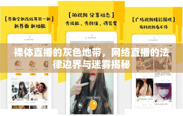 裸體直播的灰色地帶，網(wǎng)絡(luò)直播的法律邊界與迷霧揭秘