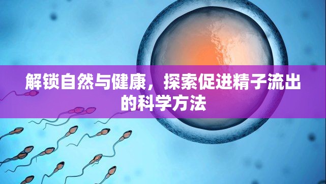 解鎖自然與健康，探索促進(jìn)精子流出的科學(xué)方法